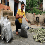 नागालैंड को ‘कीवी स्टेट’ घोषित किया जाना चाहिए: नरेन्द्र सिंह तोमर
