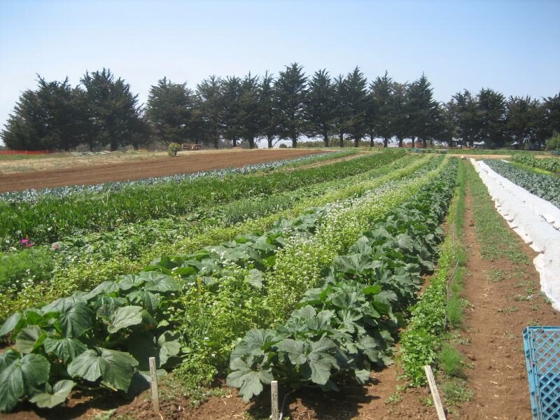 bank loan for farmers
