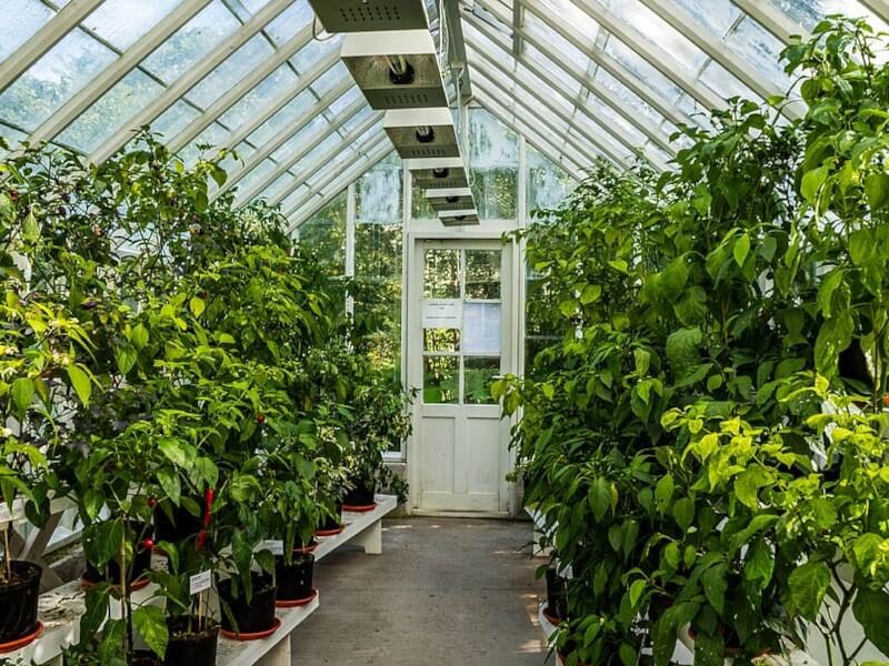 वर्टिकल खेती vertical farming tips in hindi
