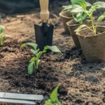 NABARD ने मिलाया एपीडा के साथ हाथ, किसानों को होंगे ये फायदे