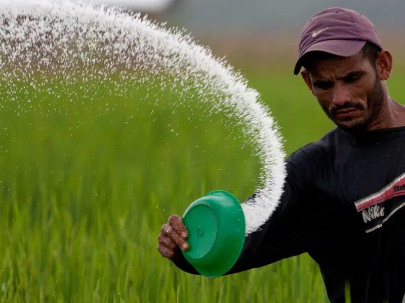 FY22 : सीधे किसानों के खाते में जाएगी खाद सब्सिडी की राशि, सरकार ने दिए संकेत