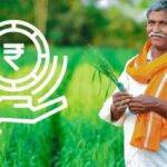 बासमती के किसानों को कृषि वैज्ञानिकों ने दी नयी सौगात