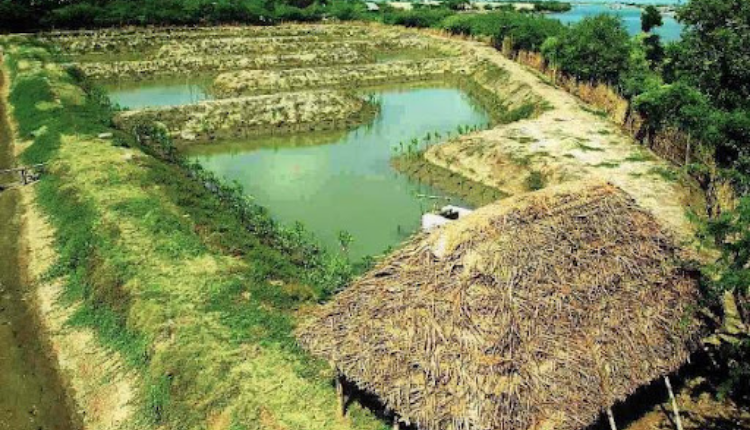 Benefits of Integrated farming - Kisan Of India