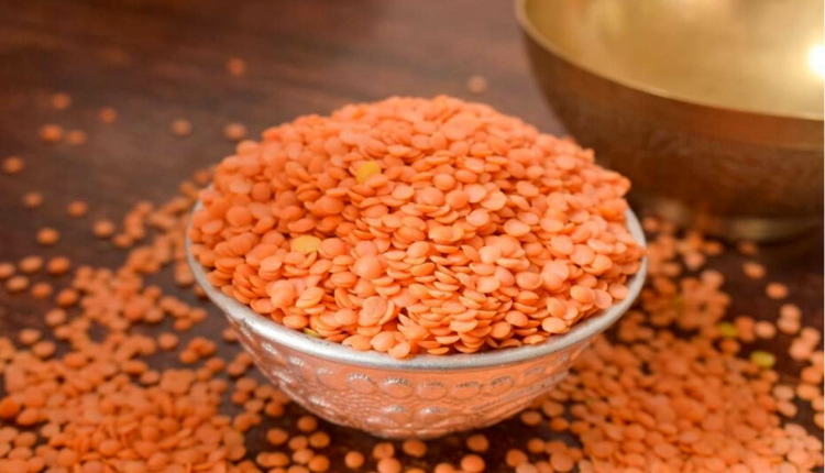 मसूर की दाल पर आयात शुल्क ख़त्म - Kisan Of India
