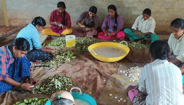 banana flour karnataka farmers केले की खेती