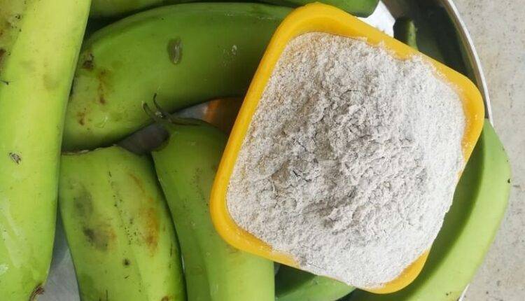 banana flour केले की खेती