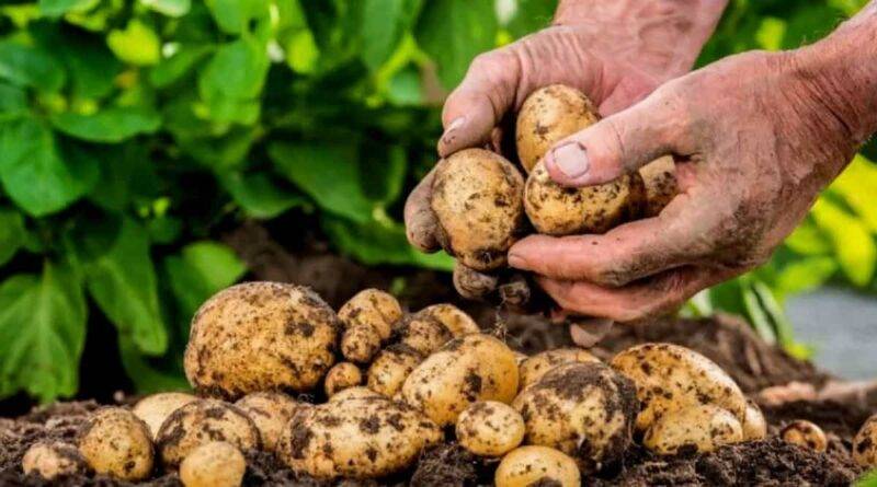 जैविक खेती ( Organic Farming )