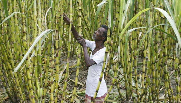 Fair and Remunerative Price ( FRP ) of sugarcane