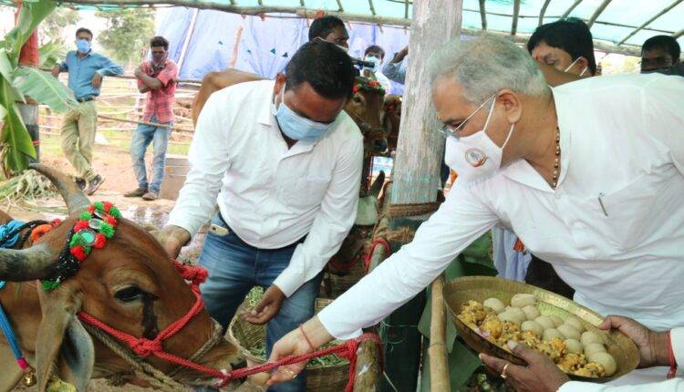 गोधन न्याय योजना ( gODHAN NYAY YOJANA )