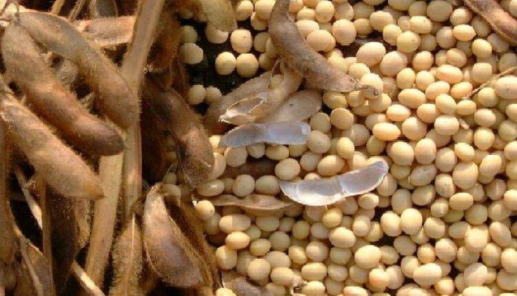 soybean gyan app ( सोयाबीन की खेती )