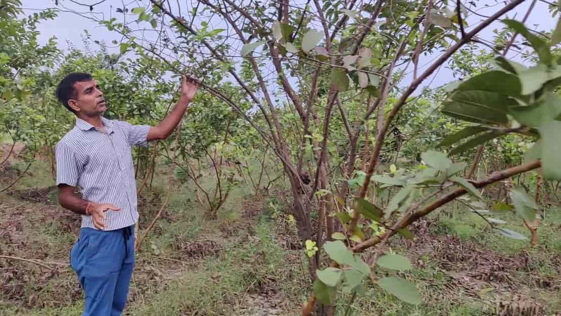 Expert Kisan of India Vineet Chauhan