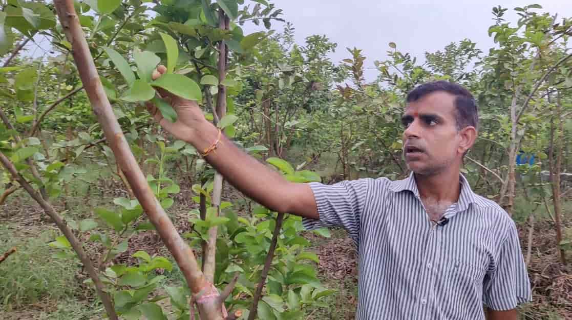 Expert Kisan of India Vineet Chauhan