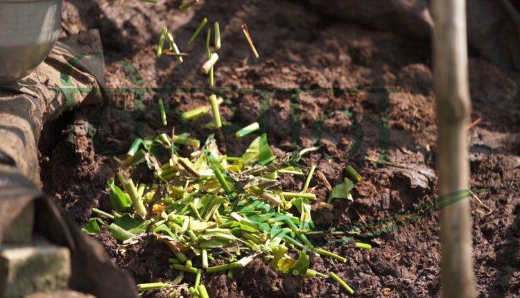 जैविक खेती ( organic farming )