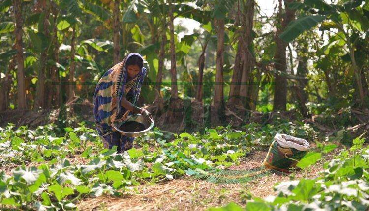 जैविक खेती ( organic farming )