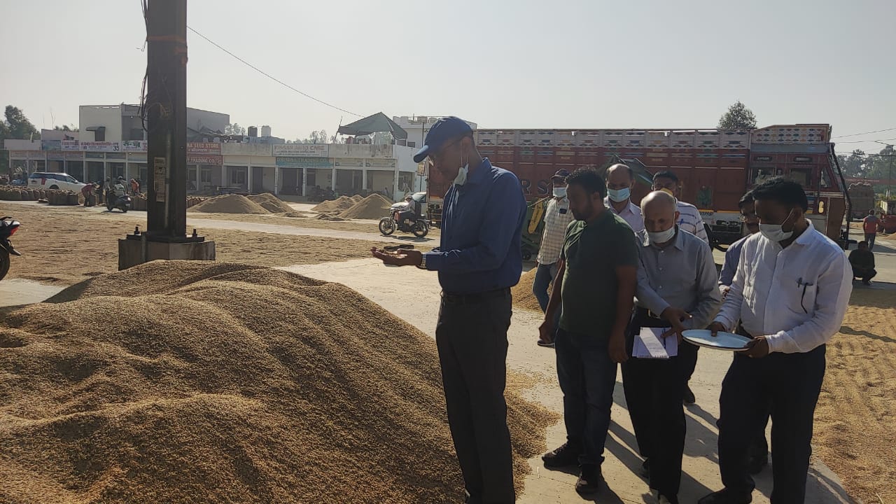 Paddy Procurement