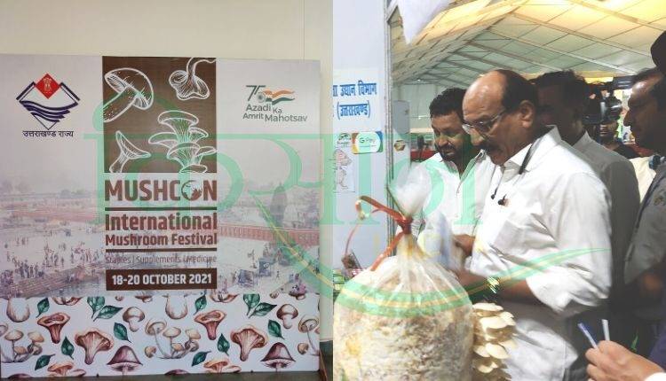 Mushroom Festival