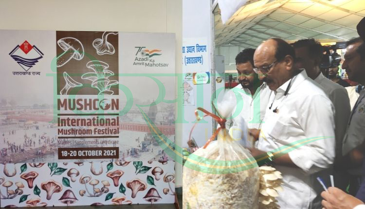 Mushroom Festival