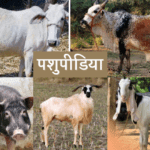 जानिये कैसे मधुमक्खी पालन से करोड़ों में हुई इस संस्था की कमाई