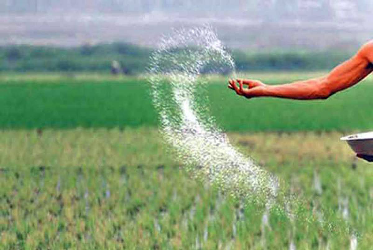नैनो यूरिया ( NANO UREA LIQUID )
