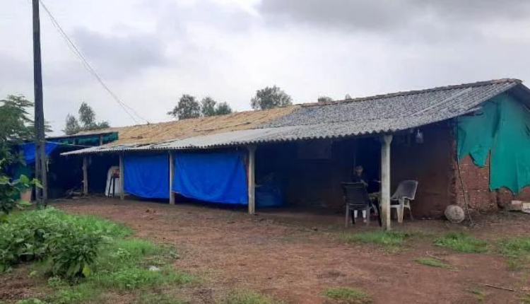 मशरूम की खेती (Mushroom Farming) से एक सिविल इंजीनियर बनीं मशहूर महिला उद्यमी