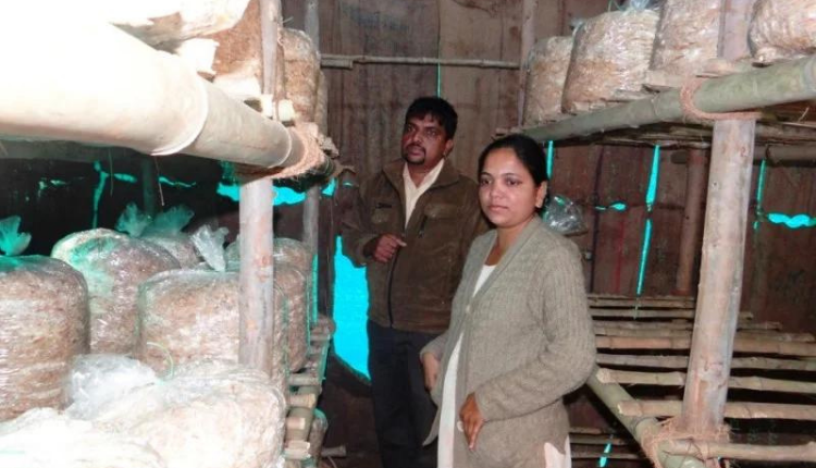मशरूम की खेती से एक सिविल इंजीनियर बनीं मशहूर महिला उद्यमी