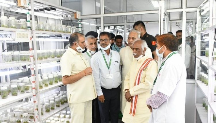 टिश्यू कल्चर विधि ( tissue culture in agriculture ) 