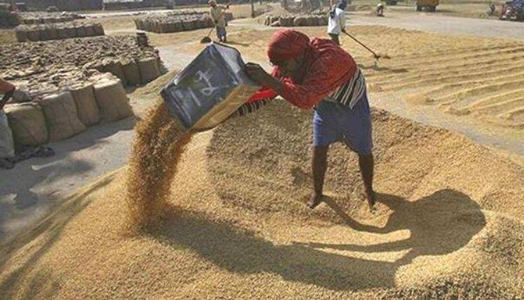 धान खरीद ( PADDY PROCUREMENT )