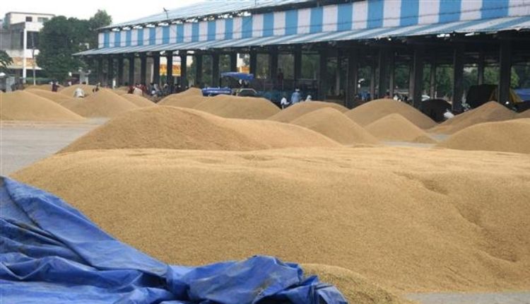 धान खरीद ( PADDY PROCUREMENT )