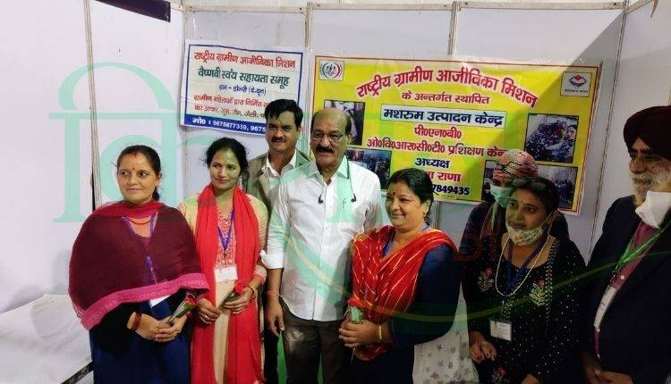Mushcon International Mushroom Festival 2021 की हुई शुरुआत, नई तकनीकों से लेकर कई किस्मों की प्रदर्शनी