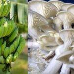 डेयरी फ़ार्मिंग के लिए कैसे, कहाँ से और कितना ले सकते हैं लोन? पढ़िए भूपेंद्र पाटीदार के अनुभवों पर आधारित ये लेख