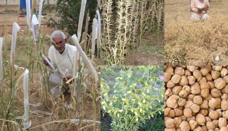पद्मश्री से सम्मानित सुंडाराम वर्मा