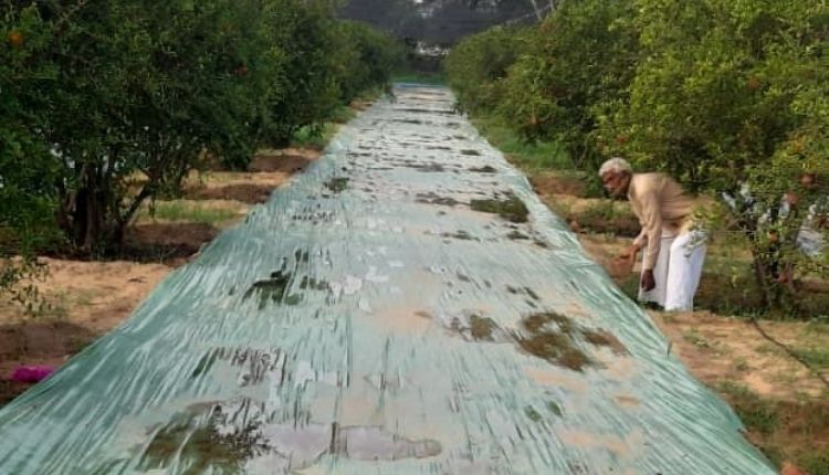 पद्मश्री से सम्मानित सुंडाराम वर्मा