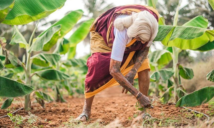 पप्पामल पद्म श्री जैविक खेती (pappmmal padma shri organic farming)