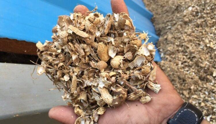 groundnut shell pots ( मूंगफली के छिलकों )