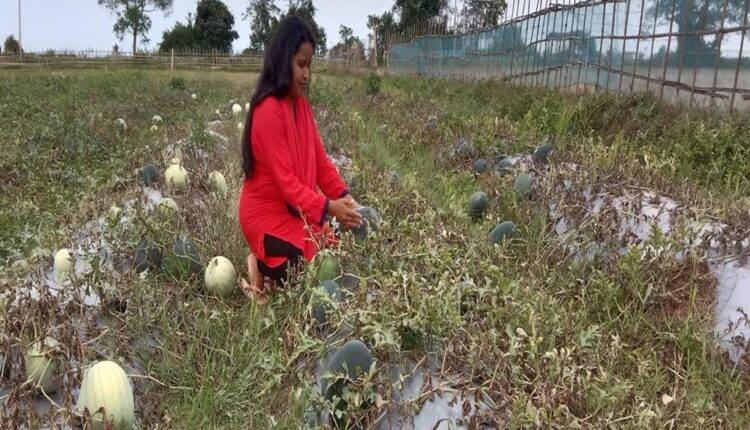 नबनीता दास ( Nabanita Das left government job to become farmer