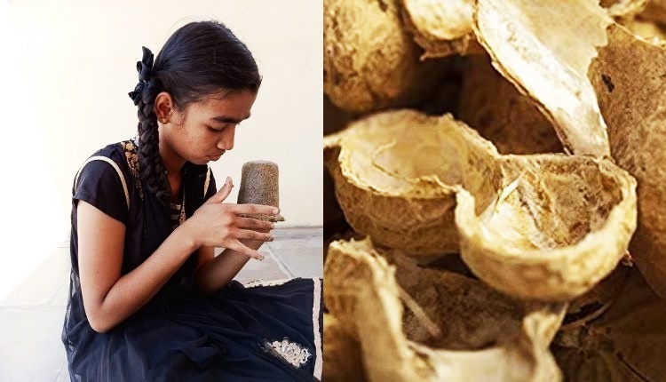 groundnut shell pots ( मूंगफली के छिलकों )