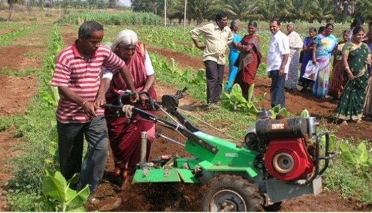 पप्पामल पद्म श्री जैविक खेती (pappmmal padma shri organic farming)