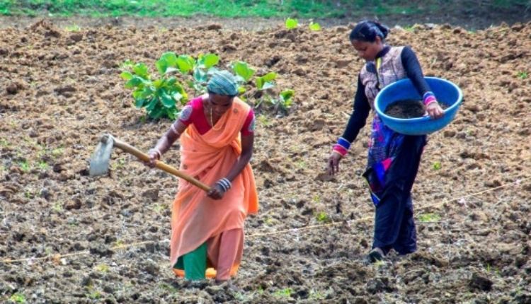 राजस्थान भूमिहीन किसान ( rajasthan landless farmers ) 