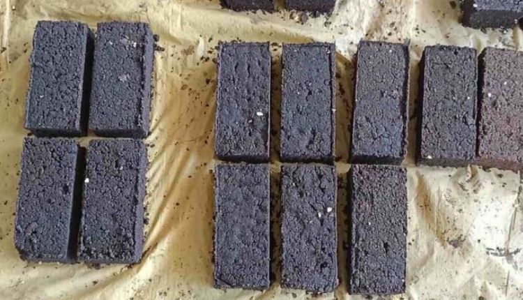 गाय-भैंस भी खाएंगी चॉकलेट ( chocolate for animals )