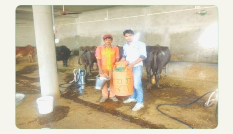 डेयरी फ़ार्मिंग भूपेंद्र पाटीदार दुग्ध क्रांति (bhupendra patidar dairy farming