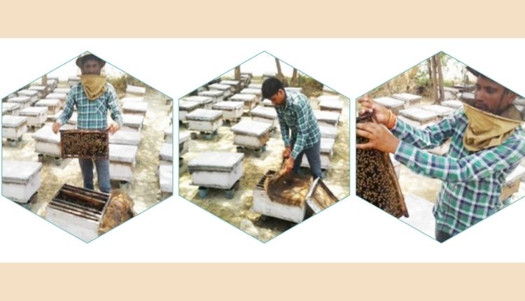 नाबार्ड योजना मधुमक्खी पालक (nabard scheme beekeeping farmers)