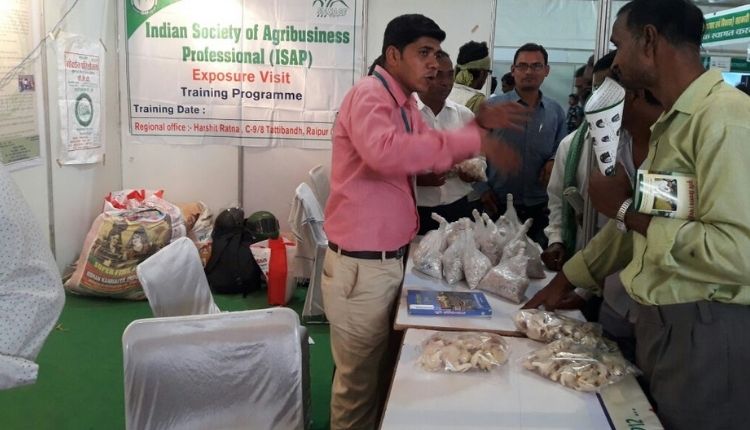 मशरूम की खेती (mushroom farming)