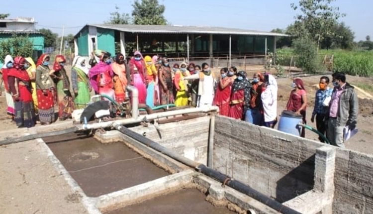 बकरी पालन व्यवसाय ( goat farming business)
