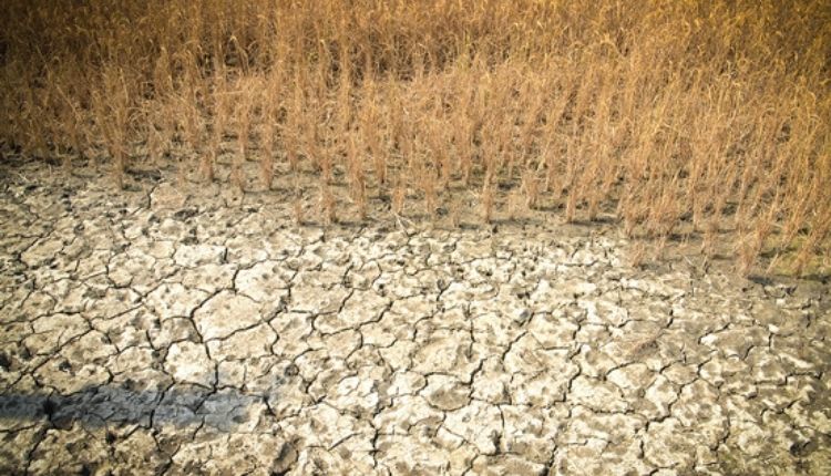 world soil day salt in soilविश्व मृदा दिवस