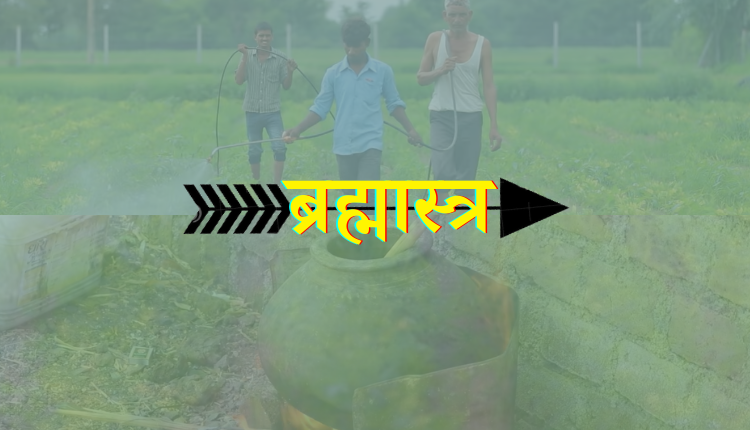 ब्रह्मास्त्र जैविक कीटनाशक