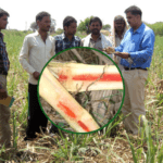 आख़िर किस प्रदेश में अभी तक सिर्फ़ एक किसान को मिली है प्रधानमंत्री सम्मान निधि की किस्त?