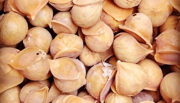 lehsun ki kheti garlic farming लहसुन की खेती और लहसुन की किस्में