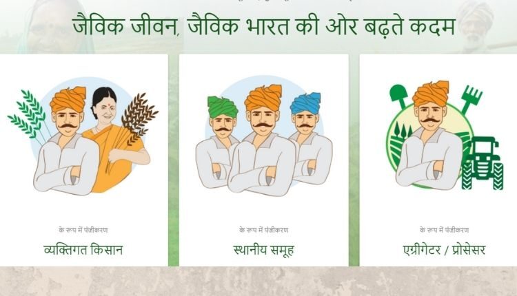 lehsun ki kheti kaise karein garlic farming लहसुन की खेती बाज़ार