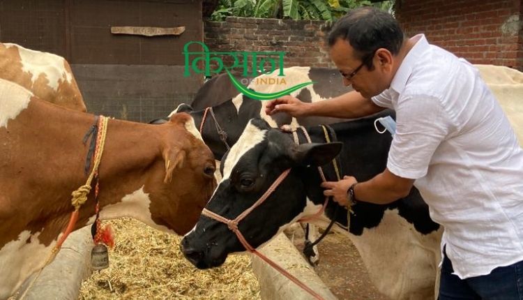 Dairy Farming डेयरी फ़ार्म डेयरी व्यवसाय haldwani dhenu farm