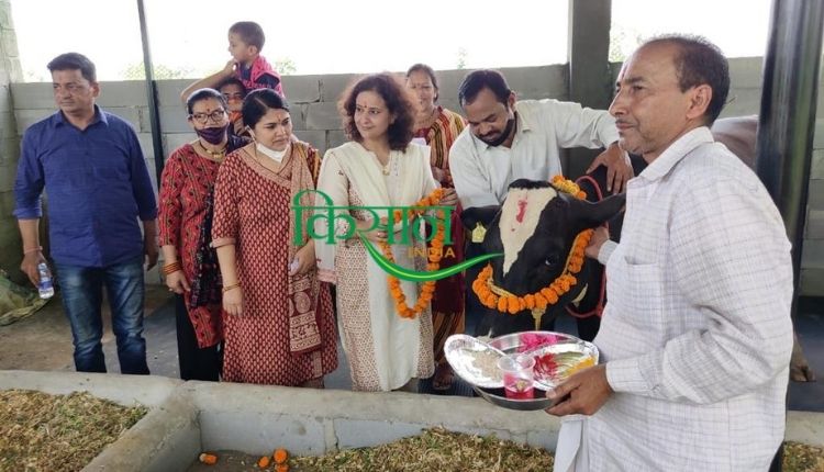Dairy Farming डेयरी फ़ार्म डेयरी व्यवसाय haldwani dhenu farm